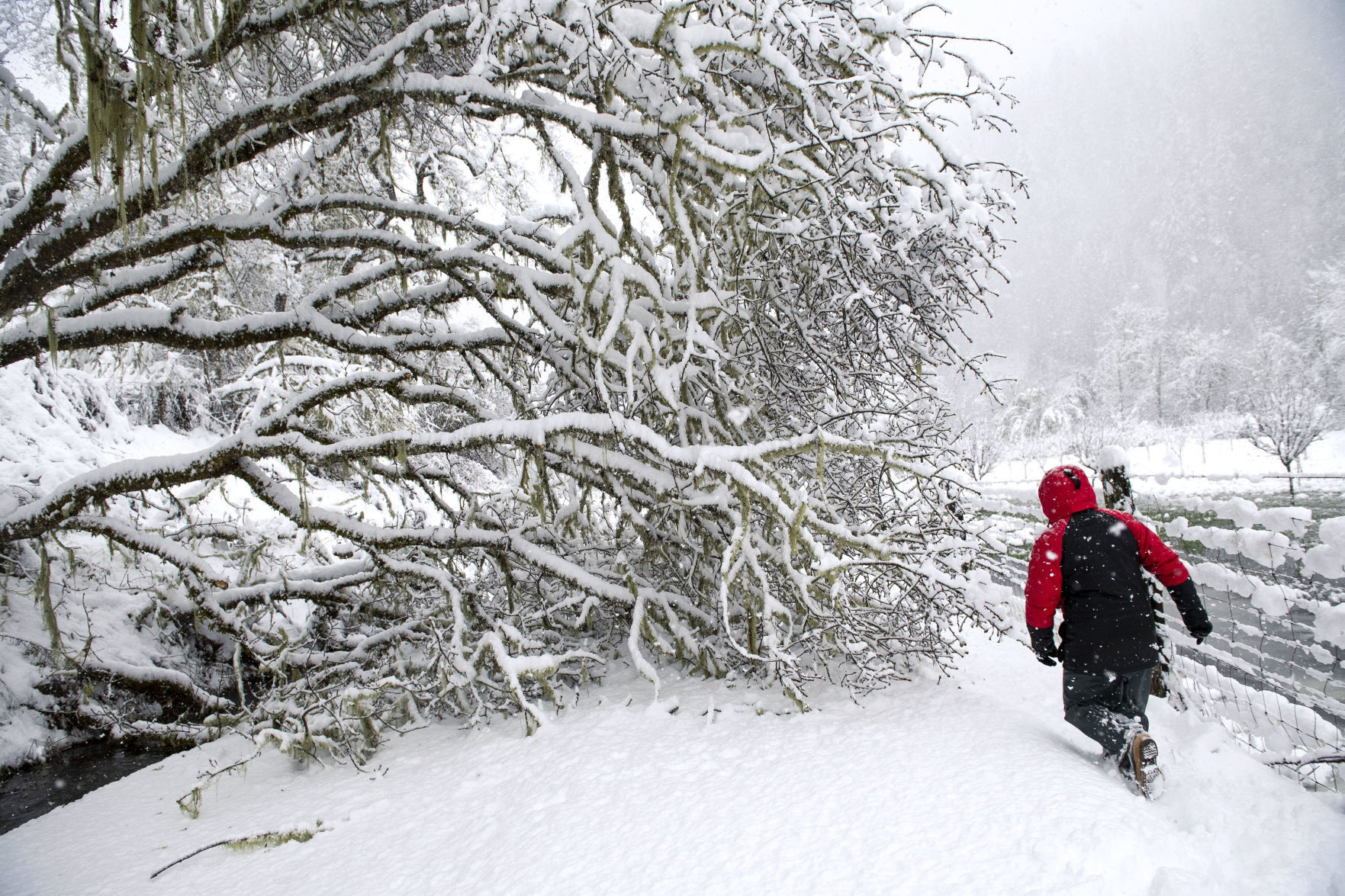 Oregon Snow